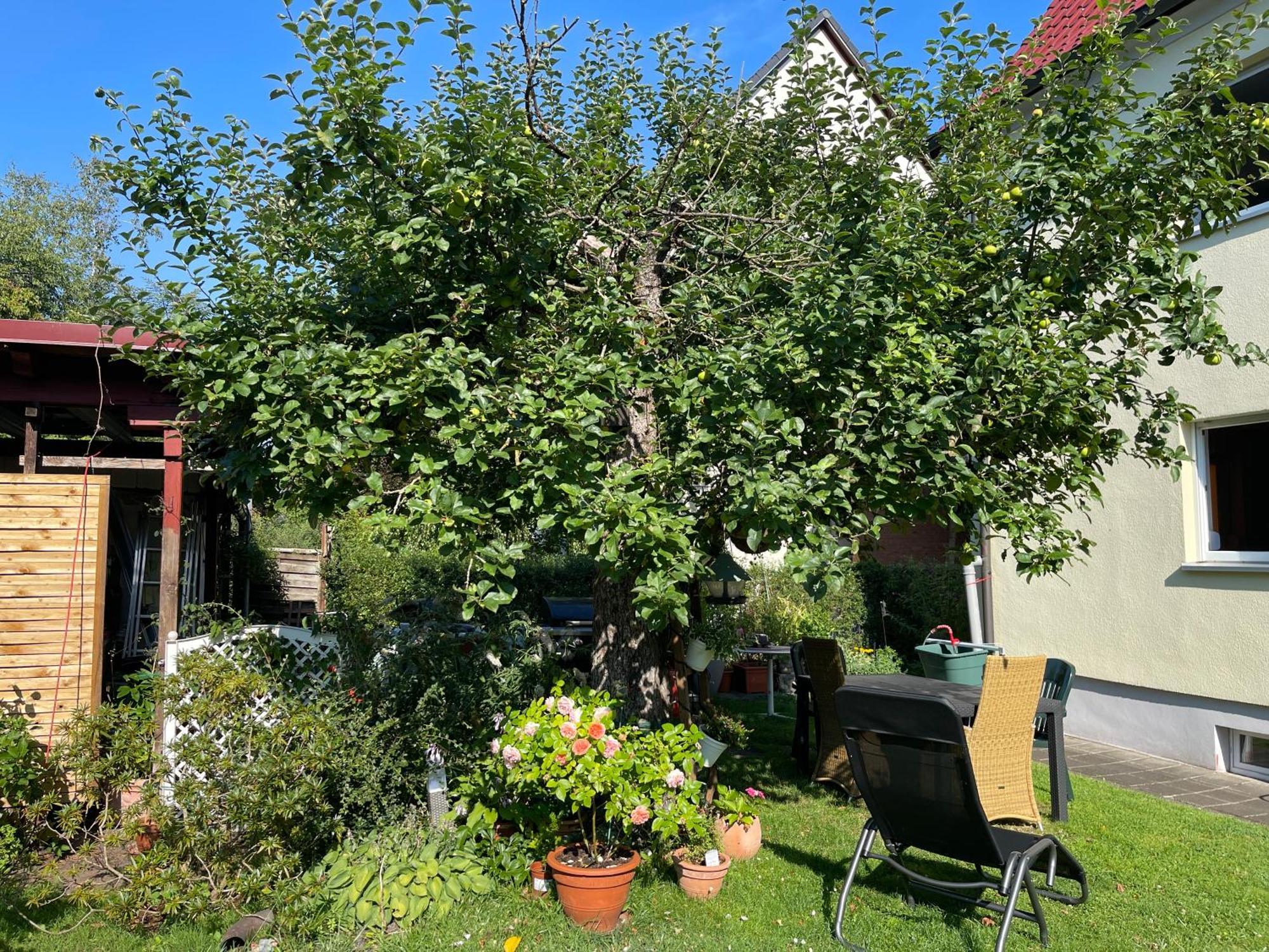 Claudias Apartment - 20 Minuten Bis Messe Nuernberg 外观 照片